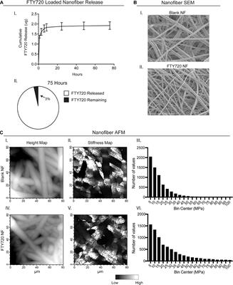 Nanofiber-Based Delivery of Bioactive Lipids Promotes Pro-regenerative Inflammation and Enhances Muscle Fiber Growth After Volumetric Muscle Loss